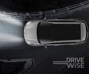 Make an entrance.