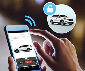 Remote Lock/Unlock