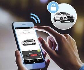 Remote Lock/Unlock
