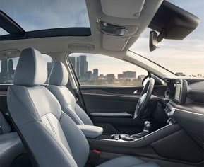 Premium Interior