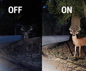 Keep Your Distance.
