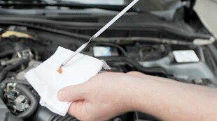 Trans Fluid Dipstick Check