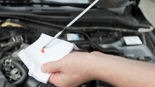 Trans Fluid Dipstick Check
