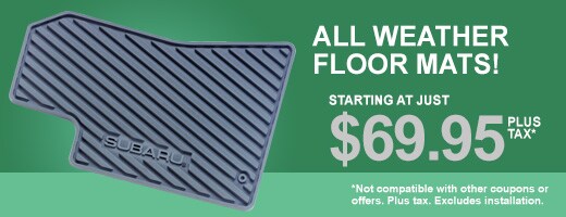 All Weather Floor Mats