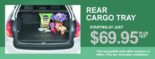 Rear Cargo Tray