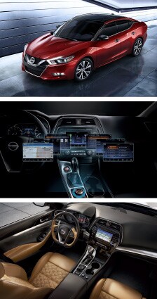 2016 maxima left.jpg