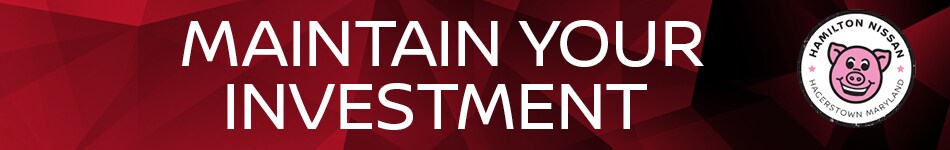 Maintain Your Investment