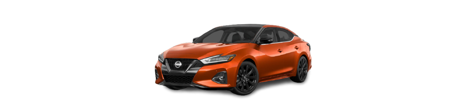 21_maxima_banner.png