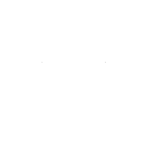 car price tag icon