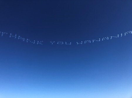 8. sky writing 2.jpg