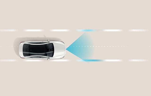 2020 Hyundai Palisade Driver Attention Warning (DAW)