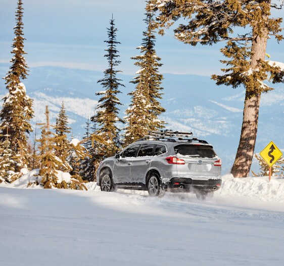 New 2020 Subaru Ascent New 2020 Subaru Ascent SUV