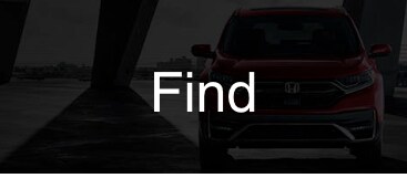 find.png