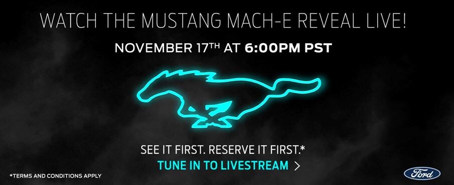 Mustang Live Stream.JPG