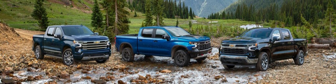 Chevy Silverado 1500