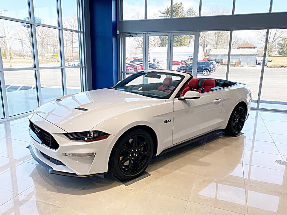HF Mustang.jpg