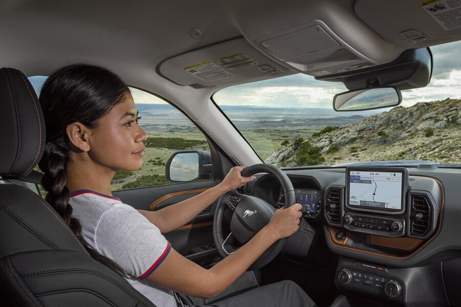 Driver and Dashboard Photo