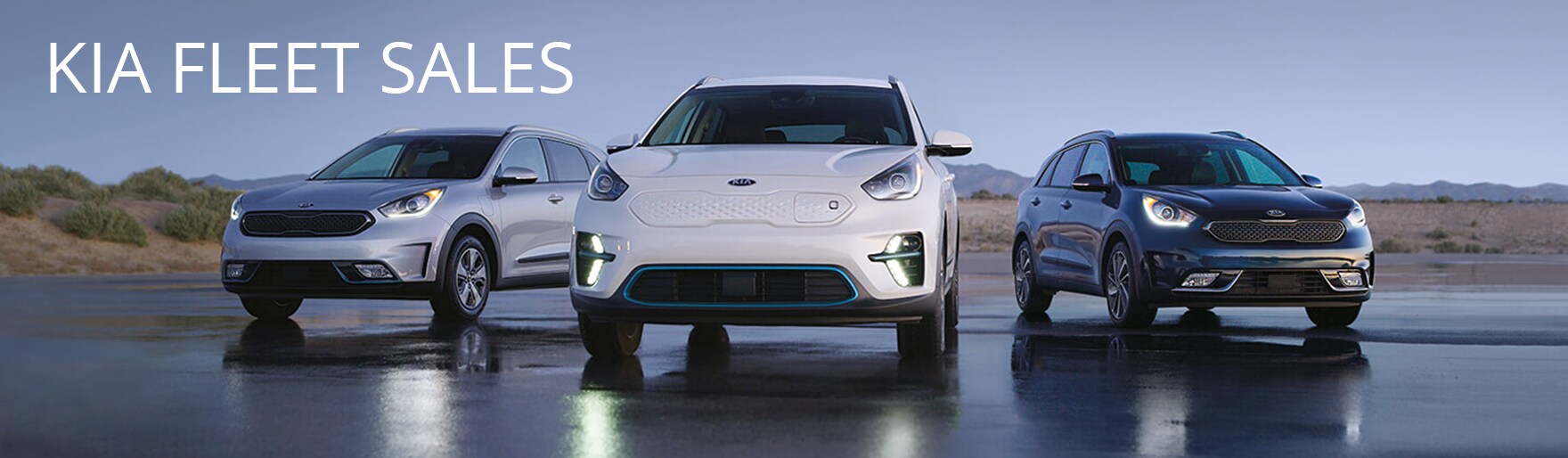 KIA FLEET SALES BANNERS.jpg