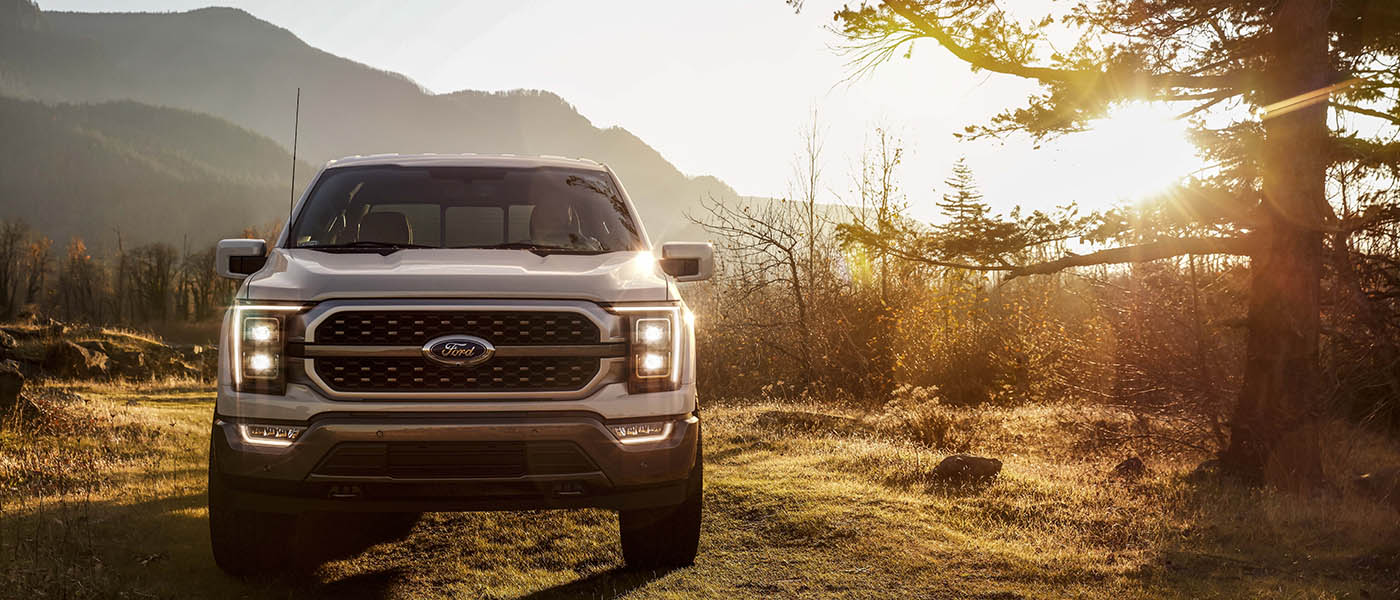 Research All The Latest Ford Models Ford f-150 parked by a tree.