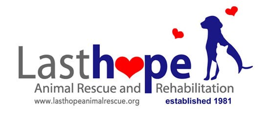 last-hope-logo.png