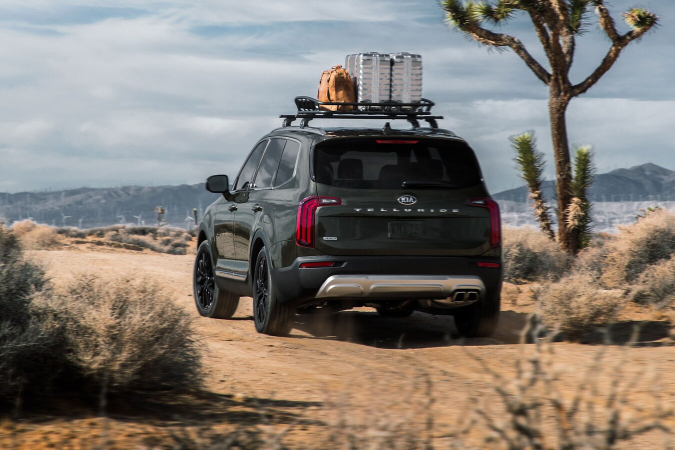 Shop 2020 KIA Telluride in Matteson, IL