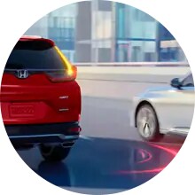 blind spot information system
