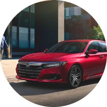 the art of evolution