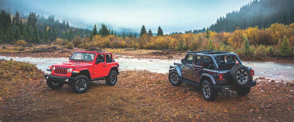 Jeep Wrangler Two Jeep Wranglers parked by a stream in a forest