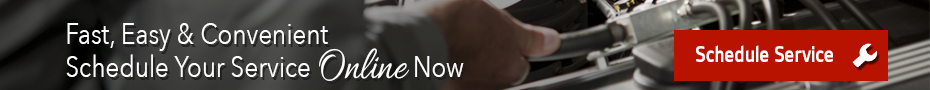 Schedule Your Service