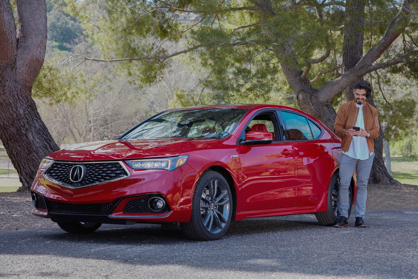 2025 Acura TLX pic 2.1.jpg 2025 Acura TLX
