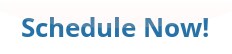 button_schedule-now (5).png