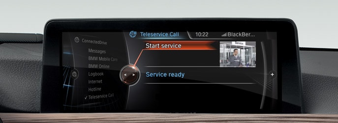 BMW TeleServices
