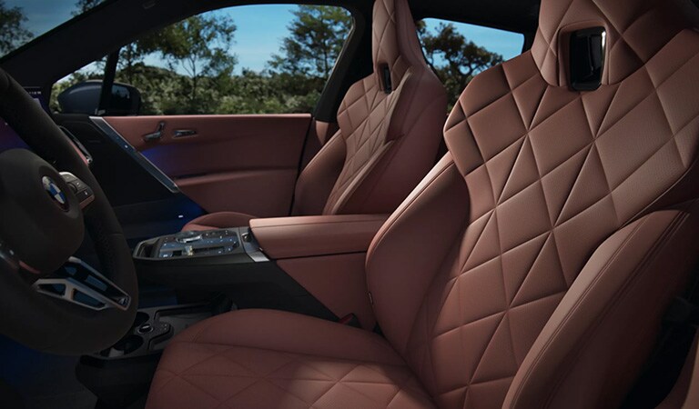 Charlotte North Carolina 2026 BMW iX