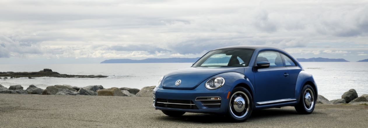 2018 Beetle.JPG