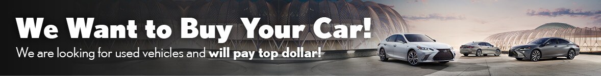 We Want to Buy Your Car