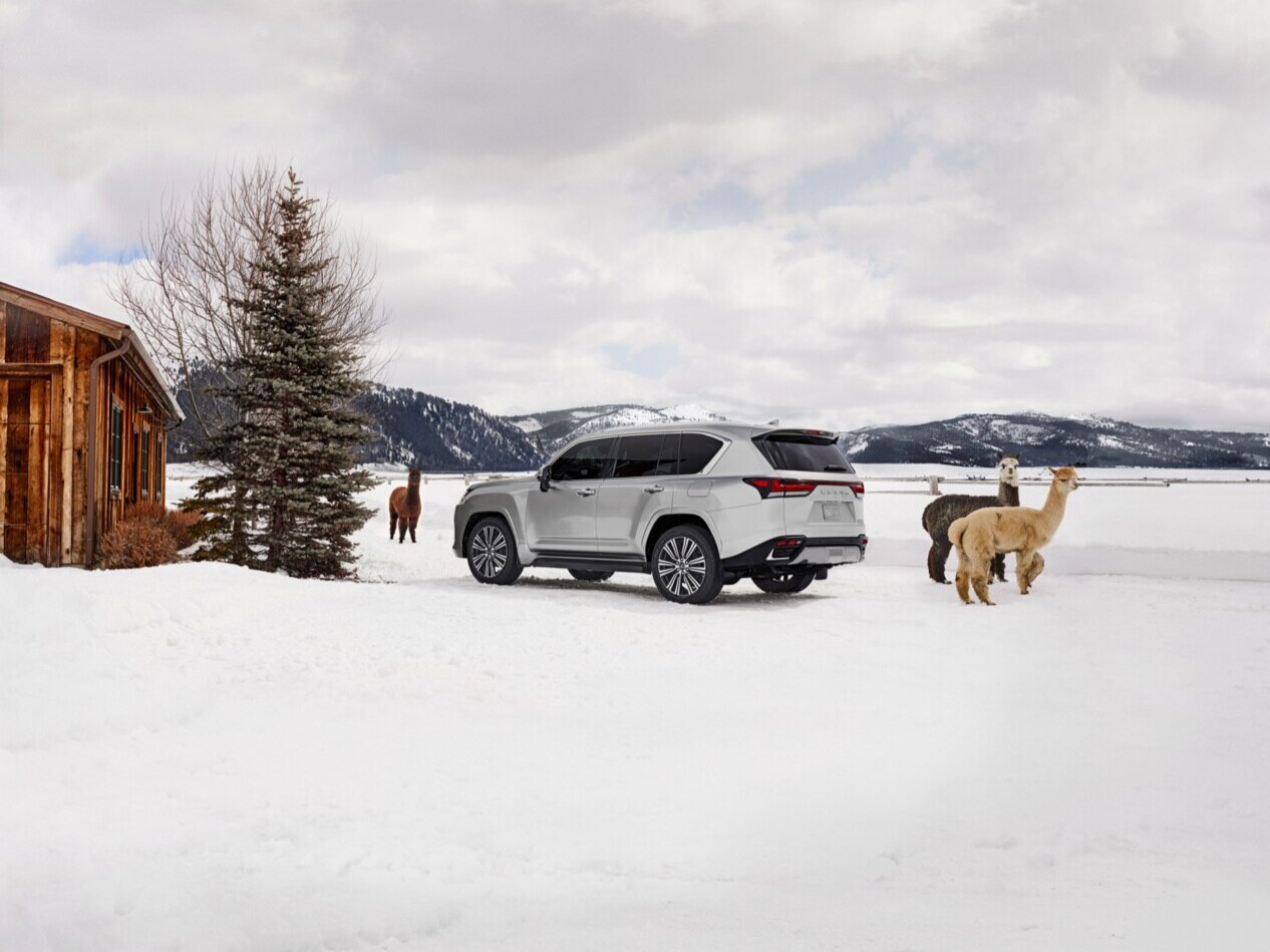 2025 Lexus LX 2025 Lexus LX Rear