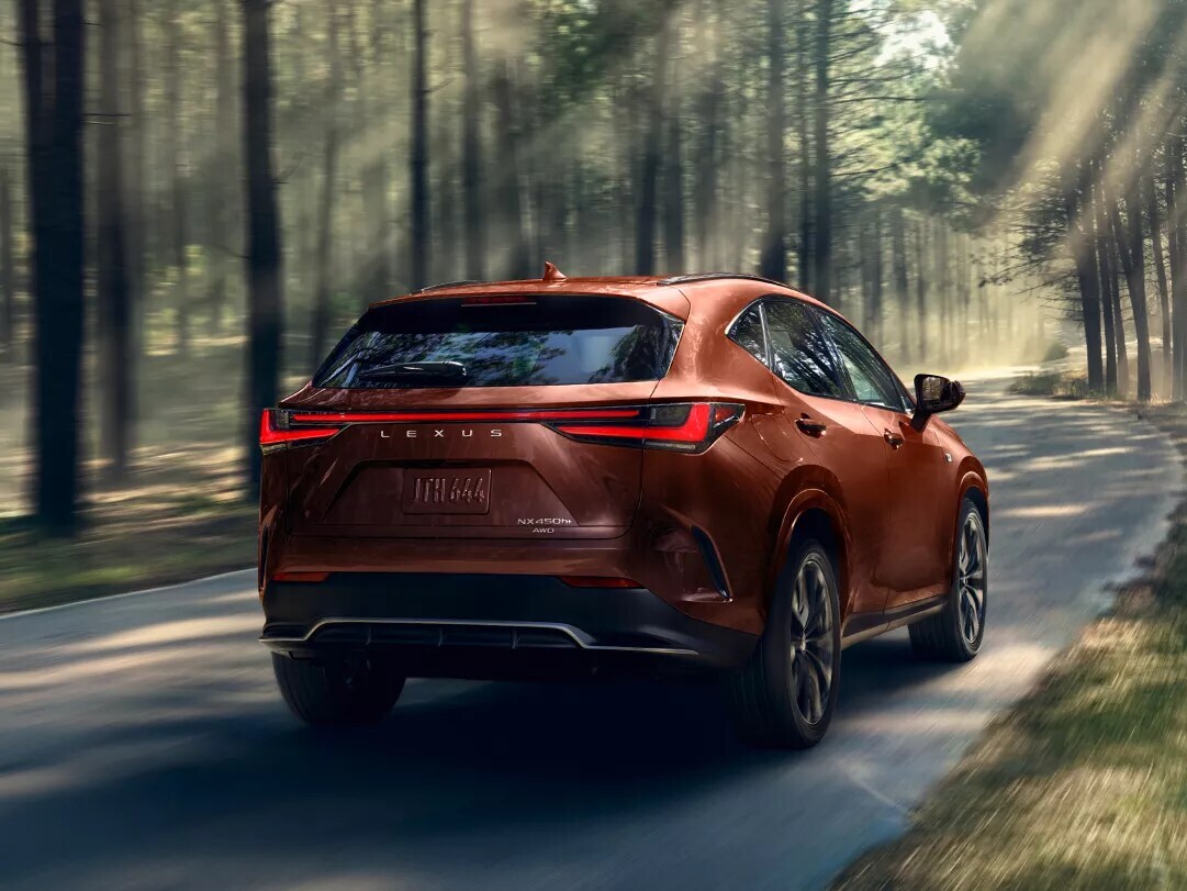 2025 Lexus NX Rear