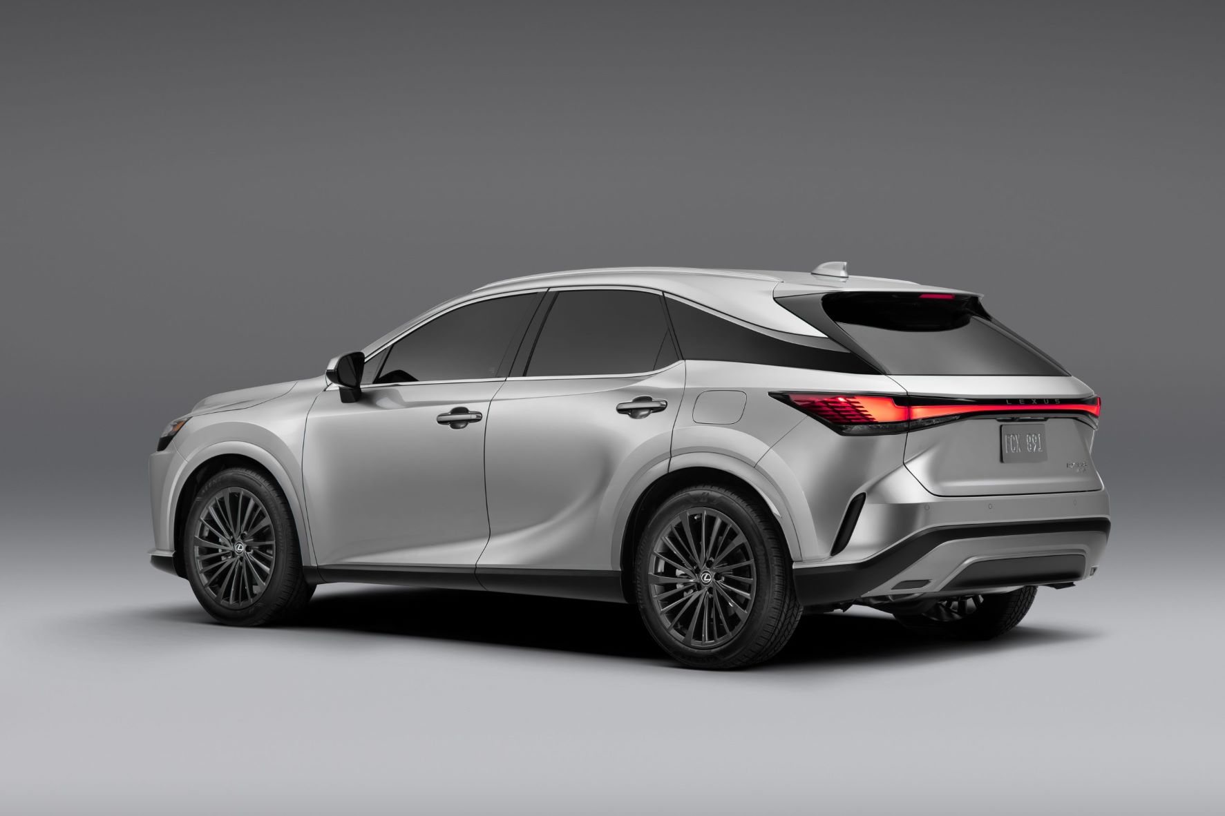 2023 Lexus RX.jpg 2023 Lexus RX Rear
