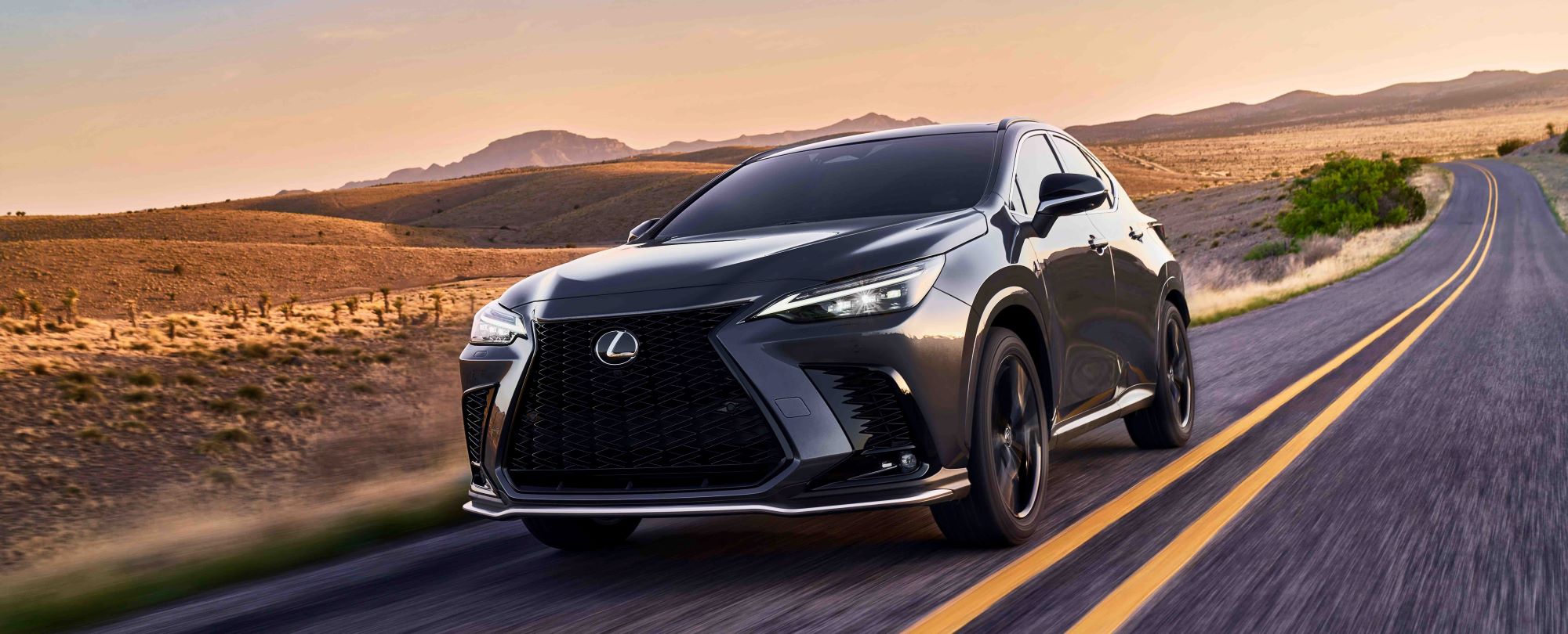 2022 Lexus NX.jpg 2022 Lexus NX in Kansas City
