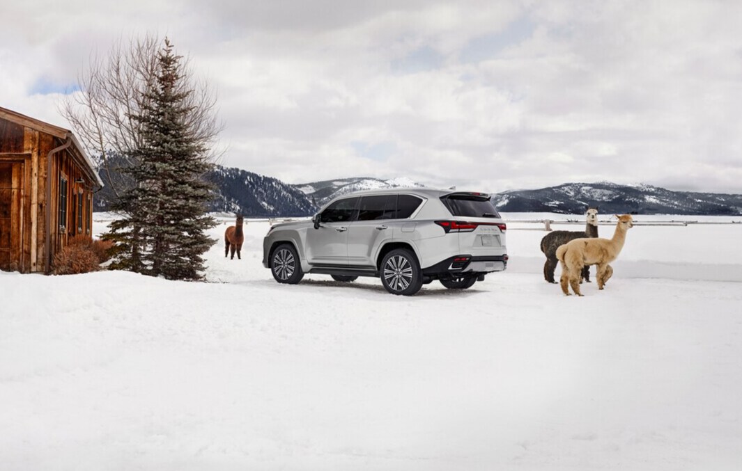 Lexus LX 2025 Lexus Rear
