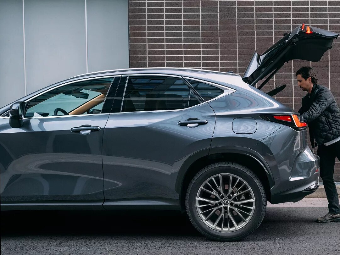 2025 Lexus NX Profile View