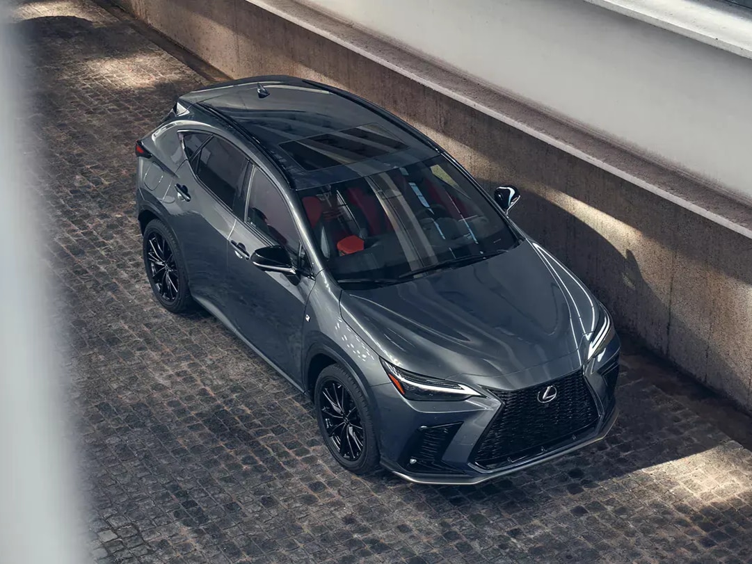 2025 Lexus NX