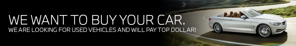 We Want to Buy Your Car