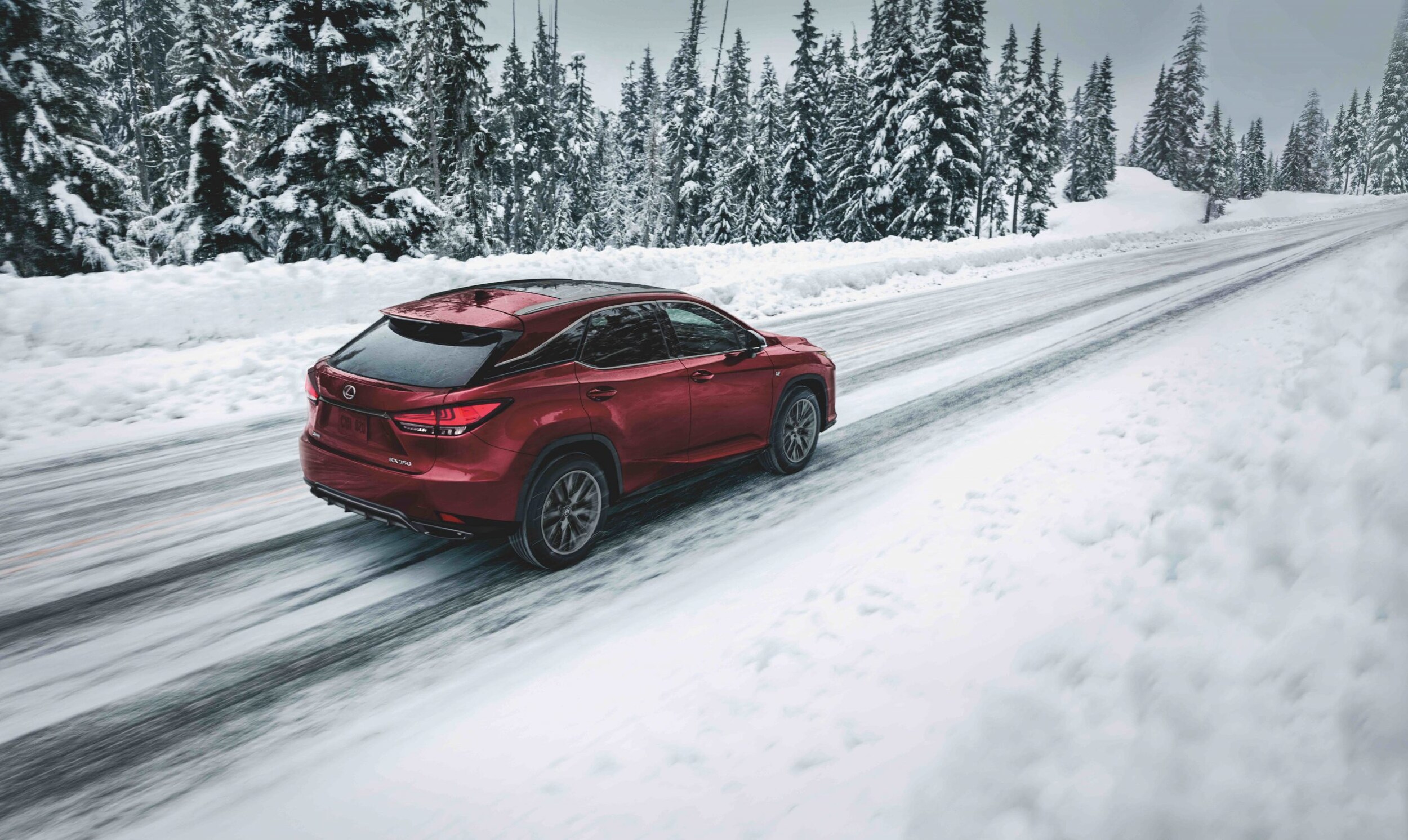 2022_Lexus_RX350_0053.jpg