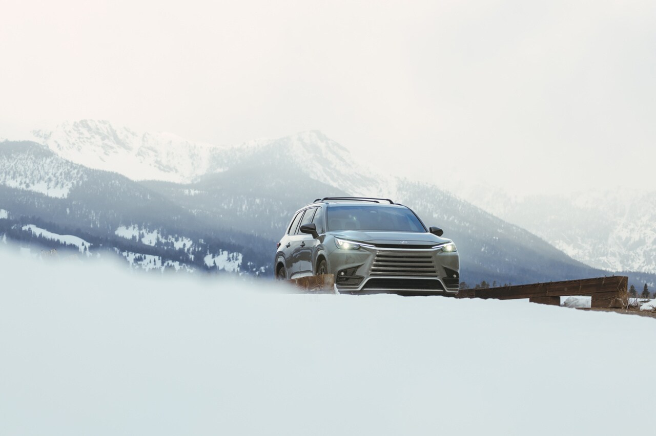 2025 Lexus TX 2025 Lexus TX