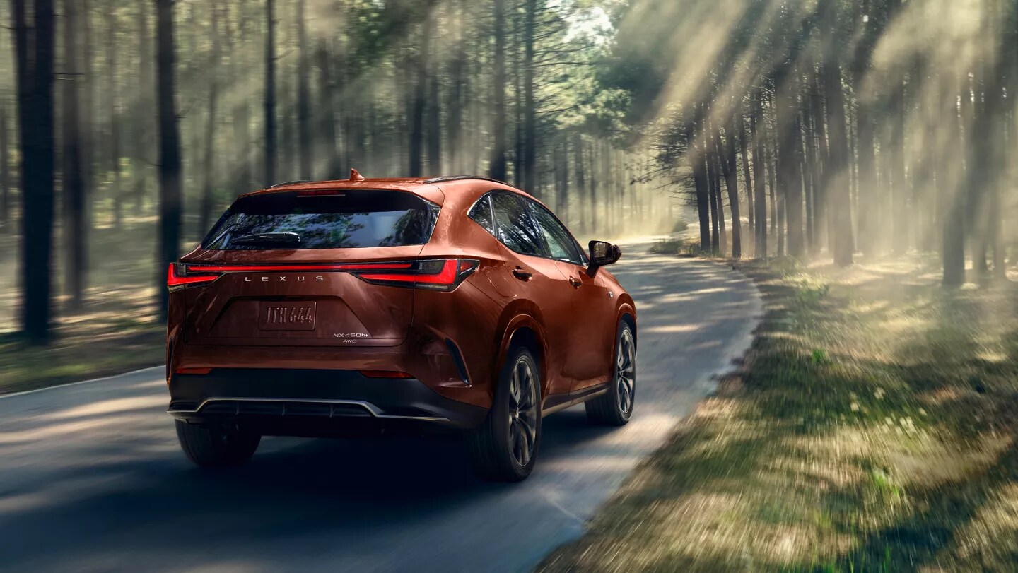 2025 Lexus NX Rear View