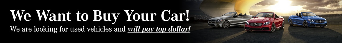 We Want To Buy Your Car
