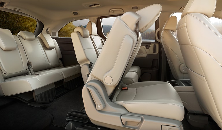 New 2019 Odyssey Wilmington NC