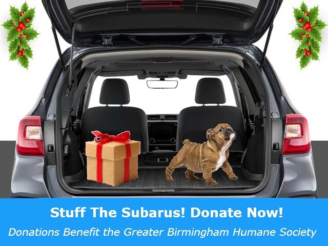 Stuff the Subarus_Humane Society_Subaru_Pop Up_Updated 2019.png