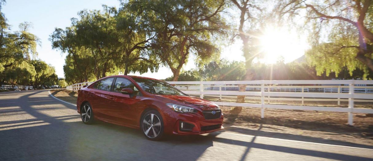 2019 Suabru Impreza.JPG